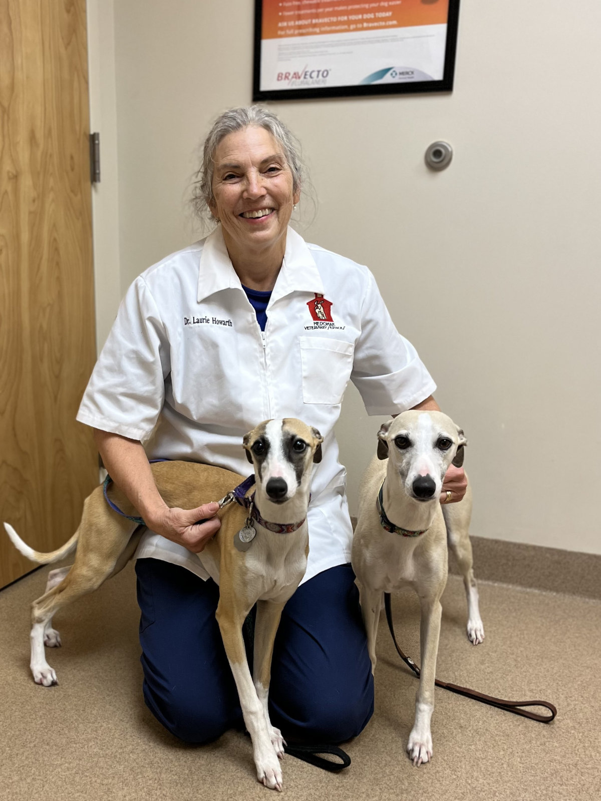 Dr. Laurie S. Howarth